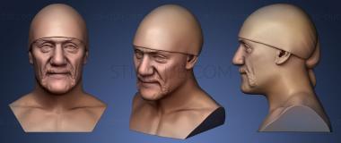 3D model Hulk Hogan (STL)